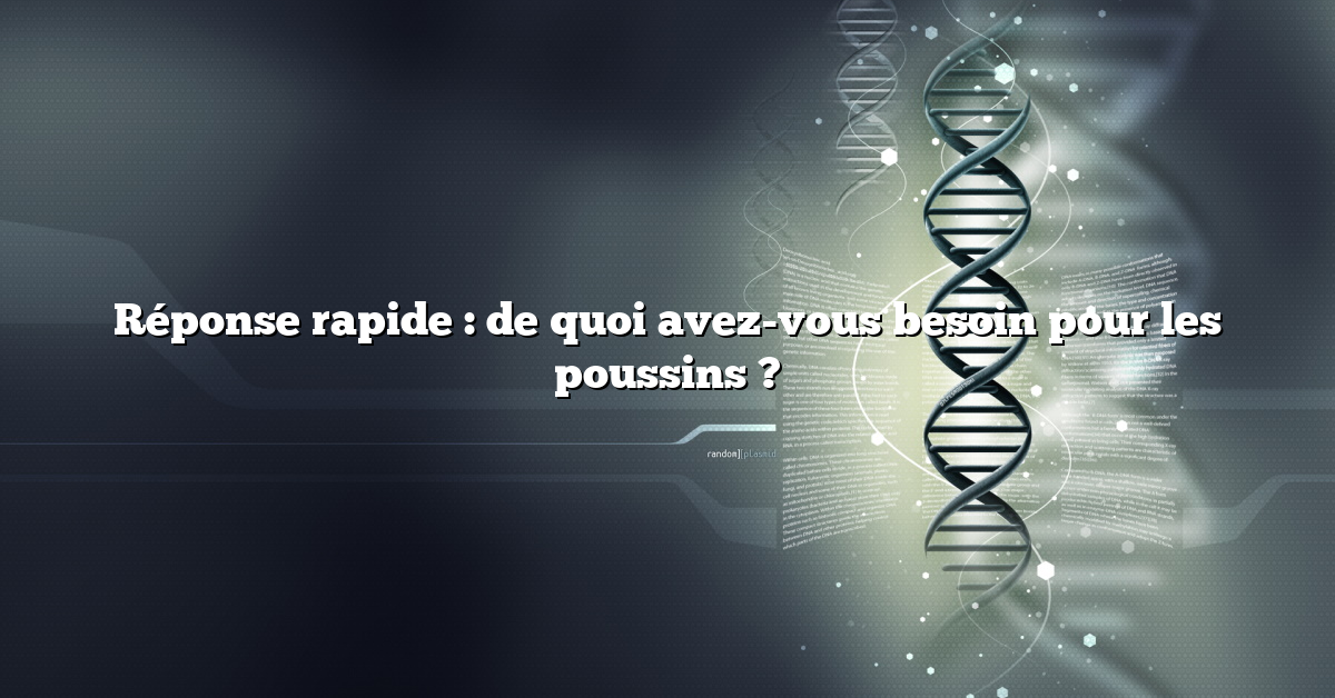 Réponse rapide : de quoi avez-vous besoin pour les poussins ?